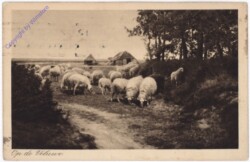 Apeldoorn, Op de Veluwe