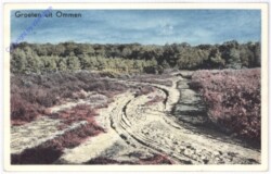 Groeten uit Ommen