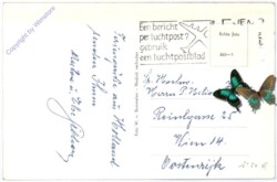 ak187908a Delft, Nieuwe Kerk