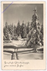 Winterlandschaft