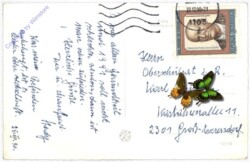 ak187951a Winterwald