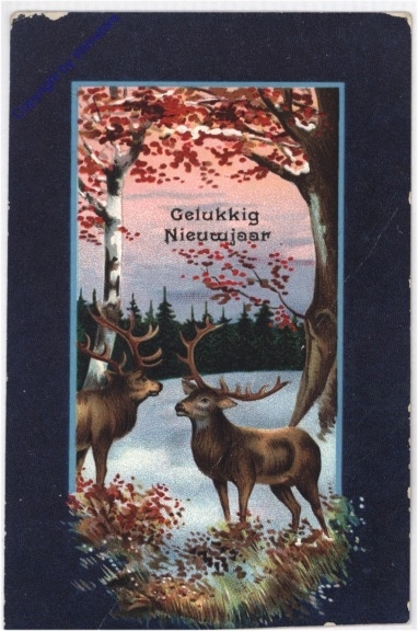 ak187957 Hirsche im Winterwald