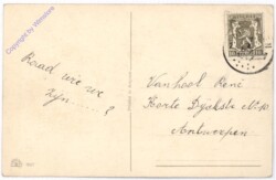 Blumen und Landschaft