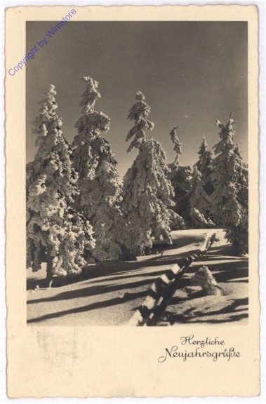 Winterwald