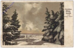 Winterwald