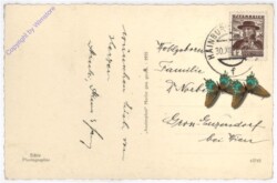 ak187992a Schifahrer