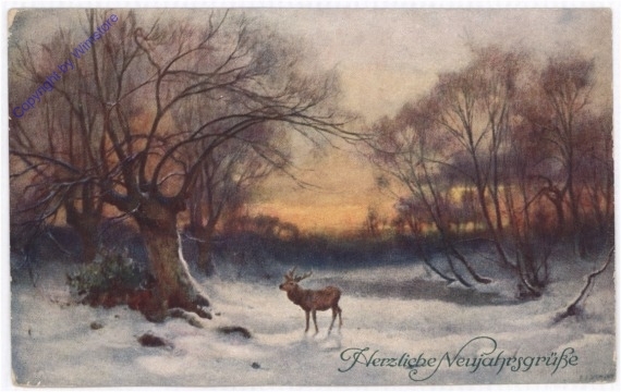 ak187997 Hirsch im Winterwald