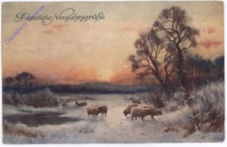 ak187998 Schafe im Winter