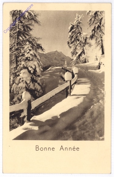 Verschneiter Pfad