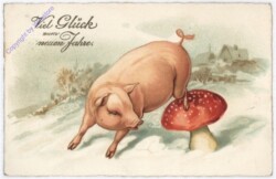 Fliegenpilz mit Schwein