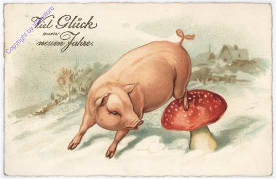 Fliegenpilz mit Schwein