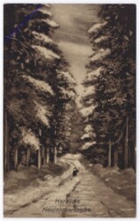 Waldweg