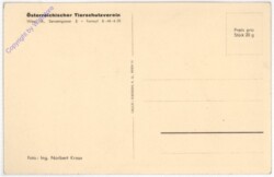 Hundewelpen