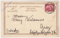 Matarieh, The holy Tree