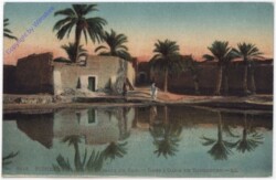 ak188105 Paysage du Sud, Dans l'Oasis de Touggourt