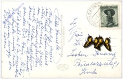 Altenmarkt bei St. Gallen, mit Kl. u. Gr. Buchstein