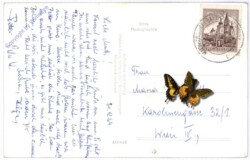 Bad Mitterndorf, mit Lawinenstein