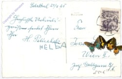 Burgfried, Burg Strechau