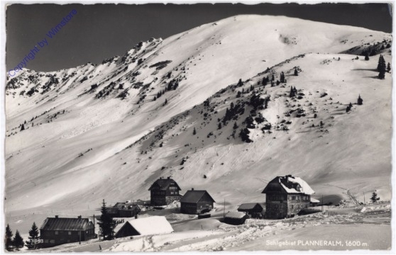 Donnersbachwald, Skigebiet Planneralm