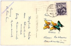 Donnersbachwald, Goldbachscharte, Jochspitze