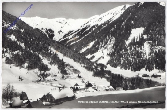 Donnersbachwald, gegen Mörsbachgebiet