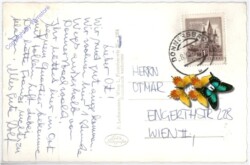 Donnersbachwald, gegen Mörsbachgebiet