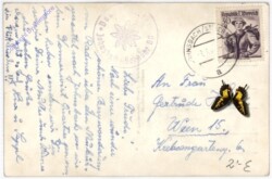 Johnsbach, Gr. Buchstein, Oedsteingrat