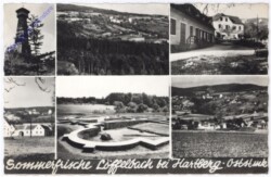 Löffelbach, Multiansicht