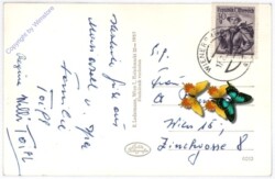 ak188754a Mariazell, Gnadenmutter