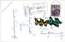 ak188756a Mariazell, mit Tonion