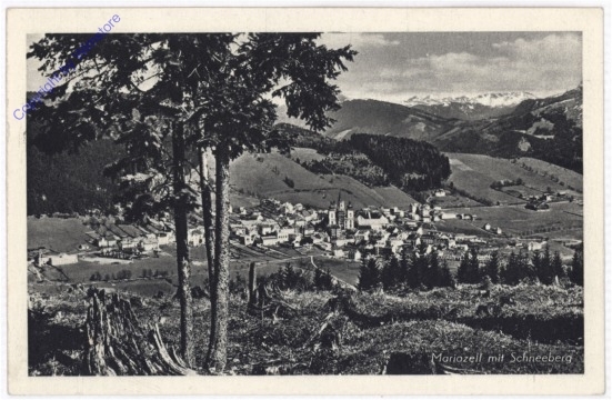 ak188759 Mariazell, mit Schneeberg