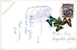 Mariazell, Multiansicht Bürgeralpe