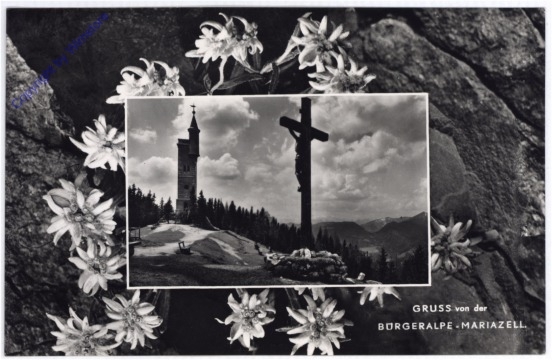 ak188788 Mariazell, Gruss von der Bürgeralpe
