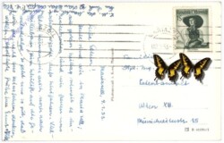 Mariazell, Ortsansicht