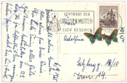 ak188902a Mariazell, Bürgeralpe