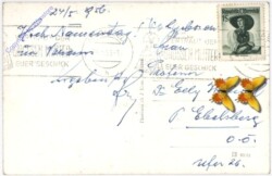 ak188910a Mariazell, Narzissenblüte