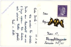ak188915a Mariazell, Kreuz auf der Bürgeralpe