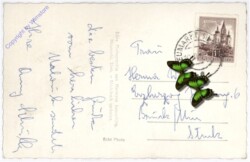 ak189012a Neumarkt, Ortsansicht