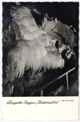 Peggau bei Graz, Lurgrotte, Riesenpalme