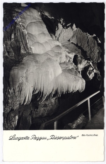 Peggau bei Graz, Lurgrotte, Riesenpalme