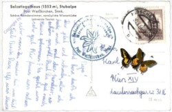 Reisstrasse, Salzstieglhaus m. Rappoldkogel