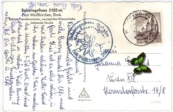 Reisstrasse, Salzstieglhaus