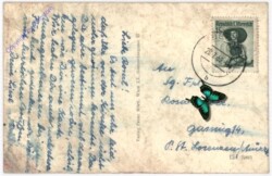 Seckau, Abtei, Basilika, Osterkerze mit Hochaltar