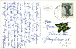 Seckau, Abtei, Basilika