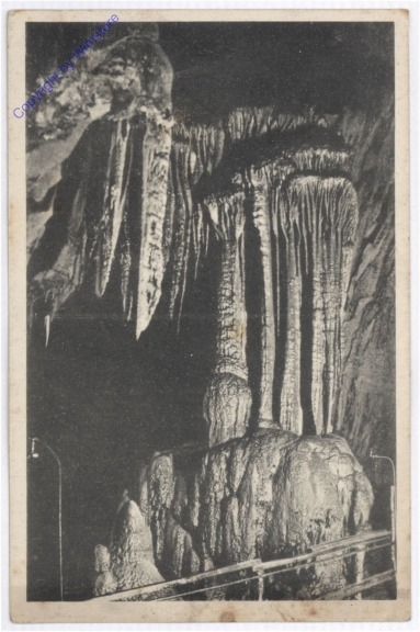 Semriach, Lurgrotte, Belvedere, Piniengruppe