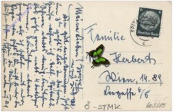 Spital am Semmering, Hotel Hirschenhof