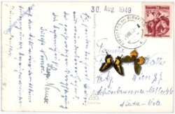 Strallegg, Ortsansicht