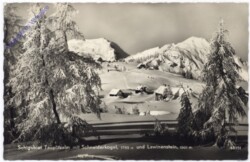 Tauplitz, Tauplitzalm mit Schneiderkogel und Lawinenstein
