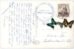 Tauplitz, Tauplitzalm mit Schneiderkogel und Lawinenstein