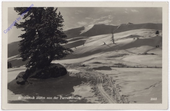 Turracherhöhe, Rinsennock von der Turracheralm